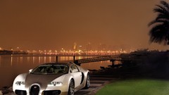 Grass Skyscrapers cars Bugatti palm trees cities rivers bugatti 