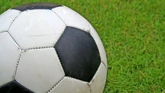 Grass soccer balls nature