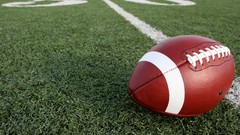 Grass soccer football ball