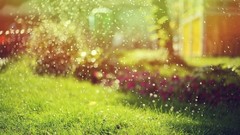 Grass spray sparks splashes