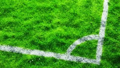 Grass stadium soccer