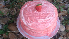 Grass stones strawberries cakes