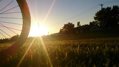 Grass sun Bicycles