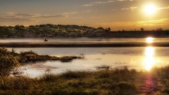Grass sun light coast