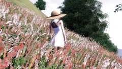 Grass The Elder Scrolls IV: Oblivion