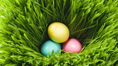 Grass three Easter Eggs