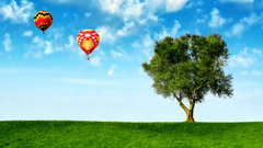 Grass tree clouds baloons