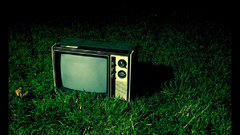 Grass TV The search ) With thespook