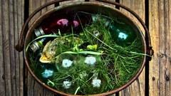 Grass vintage wood texture