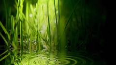 Grass water light Green beautiful shades ripples 1600x1200