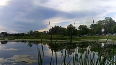 Grass water panorama swamps