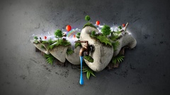 Grass water Wonderland Cows