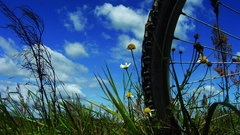 Grass wheels blue skies