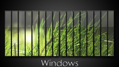 Grass windows microsoft windows 7 windows 8