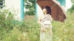 Grass woman Umbrellas asians models Korean