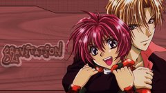Gravitation Manga Anime