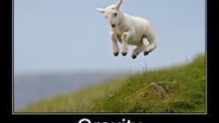 Gravity motivational posters