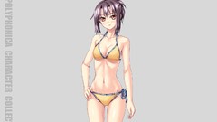 Gray Anime anime girls shinkyoku soukai polyphonica ecchi 