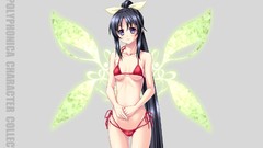 Gray Anime anime girls shinkyoku soukai polyphonica ecchi bikini