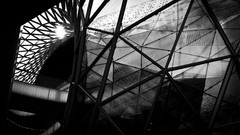 Gray architecture greyscale