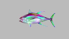 Gray fish psychedelic colors trippy