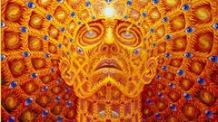 Gray high Alex have any anyone does Resolution