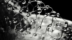 Gray moon water drops