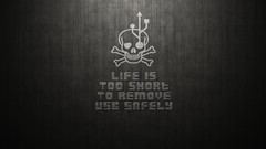 Gray skulls usb Truth