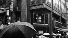 Gray Umbrellas urban