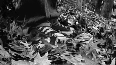 Grayscale Converse monochrome