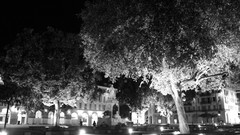 Grayscale Fountains vintage cityscapes