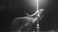 Grayscale lamp posts