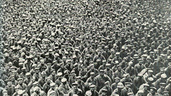 Grayscale monochrome