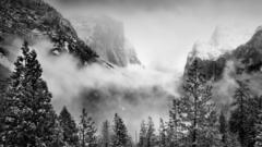 Grayscale monochrome