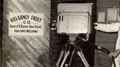 Grayscale monochrome