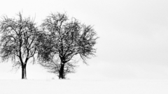 Grayscale monochrome