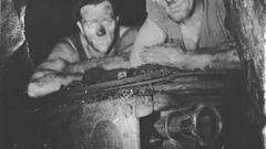 Grayscale monochrome