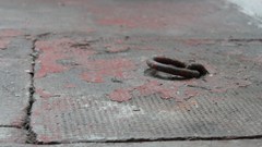 Grayscale monochrome