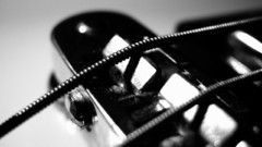 Grayscale monochrome macro