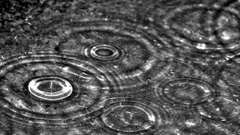 Grayscale monochrome water drops
