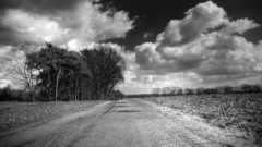 Grayscale roads