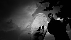 Grayscale Wings of Desire