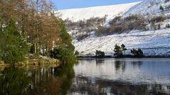 Great thread can even notice imo clashoftheseasons shoops