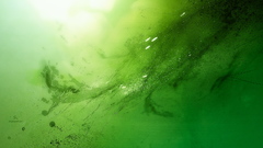 Green abstract