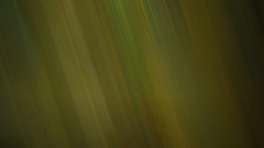 Green abstract