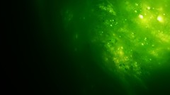 Green abstract artwork digital art senzune