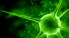 Green abstract virus