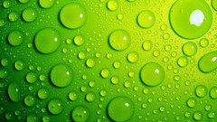 Green abstract water drops