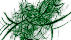 Green abstract white