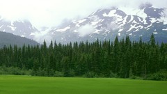 Green Alaska